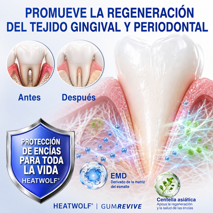 🇪🇸👨‍⚕️✅🦷HEATWOLF® GumRevive Gel Reparador Periodontal