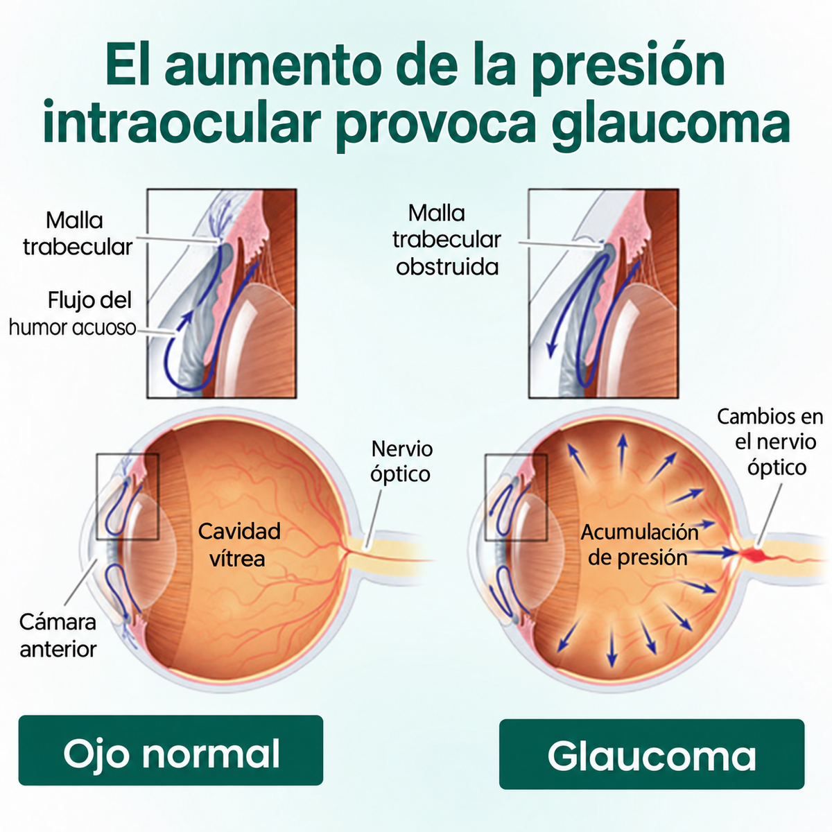 CureVivo® Nano Clear Vision Suero en Rodillo Ocular – Alivio Ocular Profesional y Soporte para la Visión