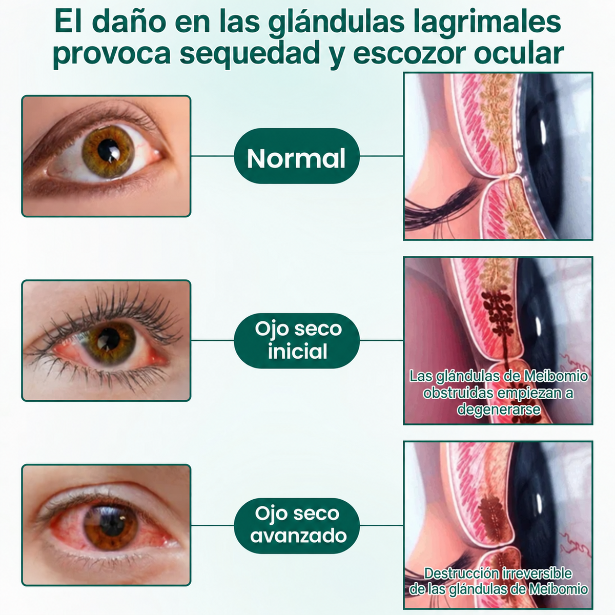 CureVivo® Nano Clear Vision Suero en Rodillo Ocular – Alivio Ocular Profesional y Soporte para la Visión